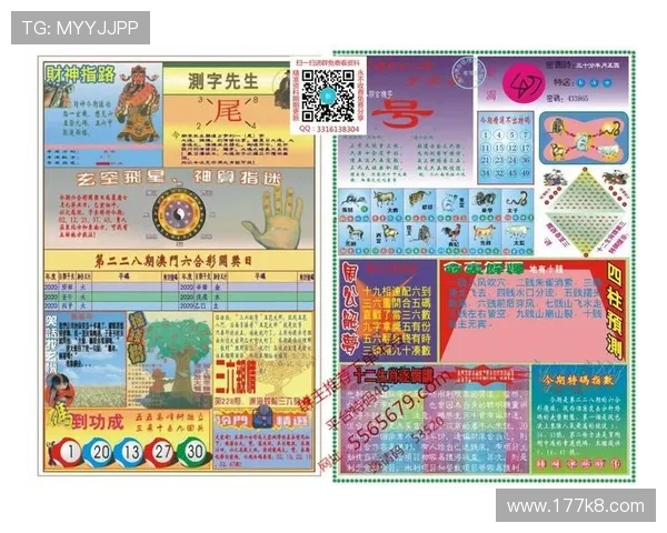 全面解析澳门新彩资料官方网站查询的最新动态与技巧